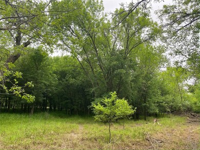 354 Lipan Trail, Horseshoe Bend, TX 76087 - photo 4