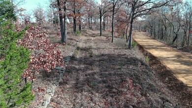 TBD Madison 3605 Rd, Kingston, AR 72742 - photo 4