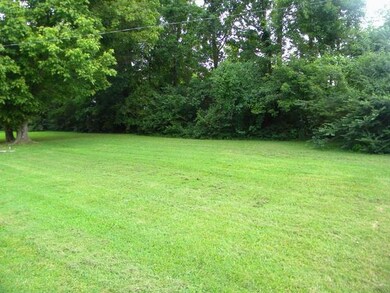 Another view of back yard