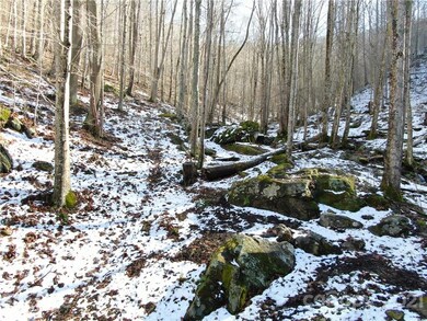 99999 Eagle Rock Ln, Egypt, NC 28714 - photo 2