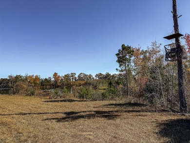 William Avera Rd, Morgan, GA 39866 - photo 3