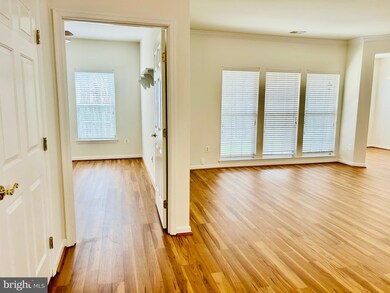 5925 Abrianna Way unit P, Elkridge, MD 21075 - photo 4
