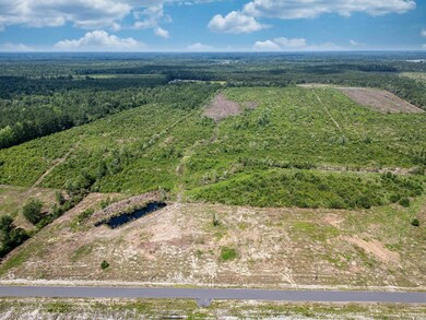 Aerial view of a heavily wooded area