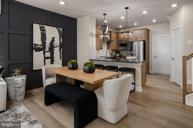 HOMESITE 39 Strabane Terrace, Ashburn, VA 20147 - photo 4