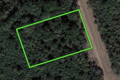 4610 Cottonwood Run, Alvin, TX 77511 - photo 2