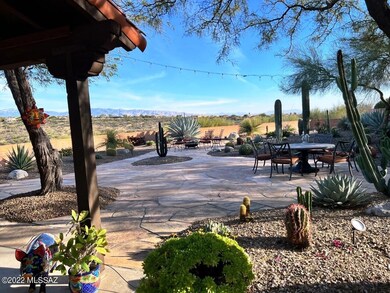 Back Yard 1
