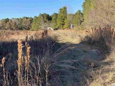 TBD Lambert Rd unit 32.42 Acres, Conway, SC 29526 - photo 3