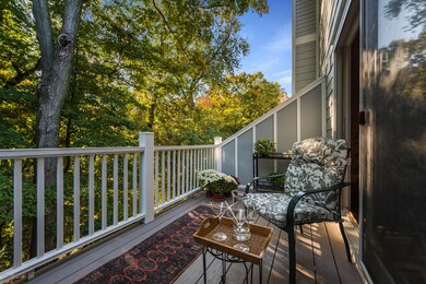 Deck View