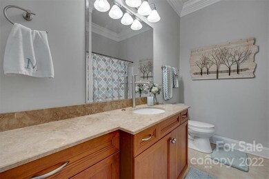 3101 Shady Knoll Ct, Clover, SC 29710 - photo 5