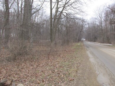 4709 W Olive Branch Rd, Three Oaks Township, MI 49128 - photo 3