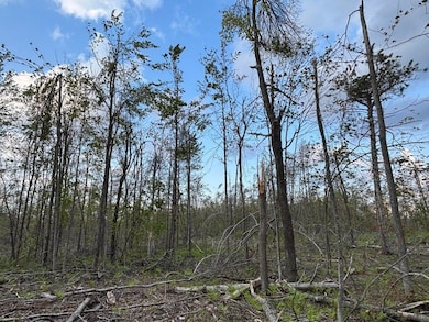 Parcel #D Town Line Rd, Lewiston, MI 49756 - photo 7