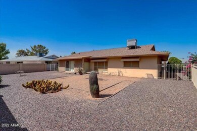 9813 N 101st Ave, Sun City, AZ 85351 - photo 3