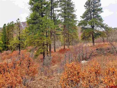 0 Bell Flower Ct unit 767546, Durango, CO 81301 - photo 3