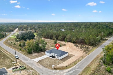 2 Fisher Lane Trail, Ocklawaha, FL 32179 - photo 3