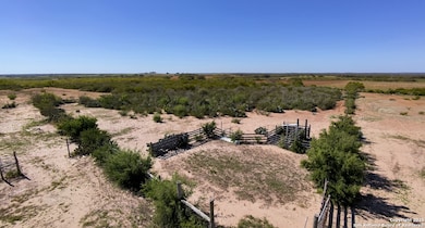 2198 County Road 653, Devine, TX 78016 - photo 5