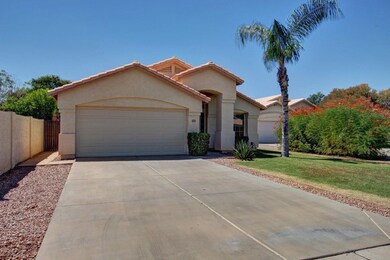0002-Ocotillo  (2)