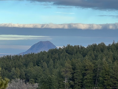 Lot 30 Summit Pass unit Dakota Highland Esta, Whitewood, SD 57793 - photo 7