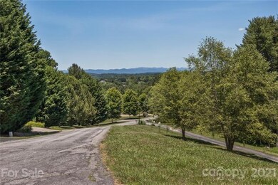 231 Ferguson Dr, Asheville, NC 28806 - photo 5