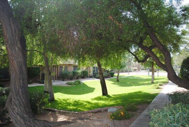 View from Front Door--Tons of Shade