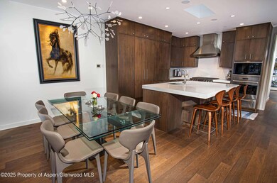 1018 E Hyman Ave unit 1, Aspen, CO 81611 - photo 3