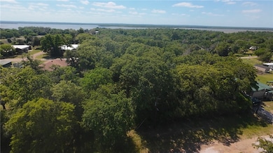 Drone / aerial view with a forest view
