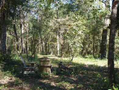 0 Swirl Ln unit 287251, Crawfordville, FL 32327 - photo 3
