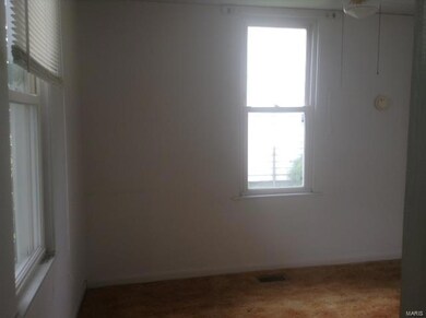 310 S State St, Freeburg, IL 62243 - photo 5