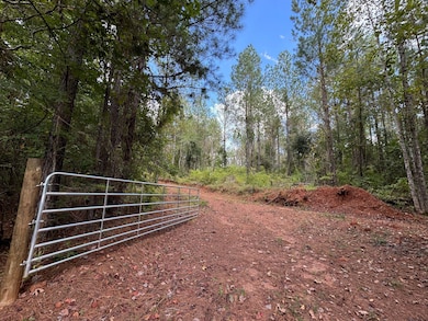 Plesant Rd, Camp Hill, AL 36850 - photo 6