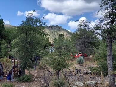 148 Buffalo Run, Pine, AZ 85544 - photo 6