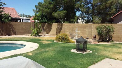 backyard 2