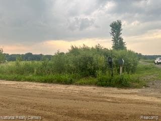 00 W Vogt Rd, Conway Township, MI 48836 - photo 2