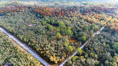 0 Rose Bloom Lot 7 Ave unit 2256782, Webster, FL 33597 - photo 5