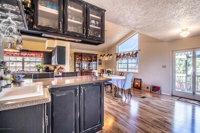 621 Cerrillos Dr, Farmington, NM 87401 - photo 4