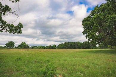 1035 Hollmig Ln, Fredericksburg, TX 78624 - photo 2