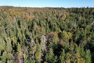 Lot 25 H Boot Cove Rd, Lubec, ME 04652 - photo 3