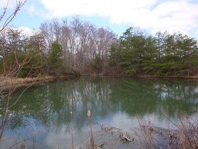 15-LowerPond-1136
