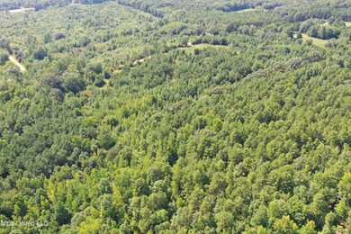 DJI_0423