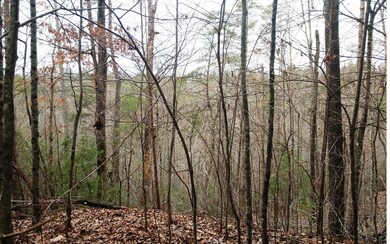 L288 Evening Shadows Rd, Morganton, GA 30560 - photo 3