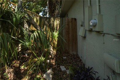 4207 W Tacon St, Tampa, FL 33629 - photo 5