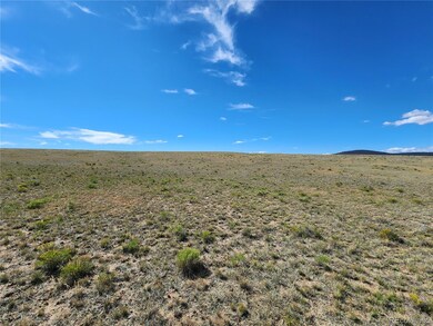3712 Cimarron Dr unit 2, Hartsel, CO 80449 - photo 4