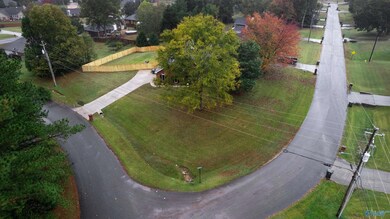 119 Summerfield Ln, Harvest, AL 35749 - photo 3