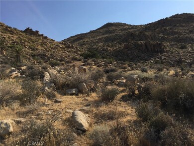 7878 Rockwood Rd, Joshua Tree, CA 92252 - photo 7