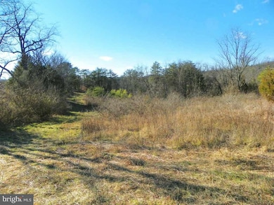 250 Lakeview Rd, Newport, PA 17074 - photo 5