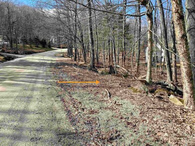 12 Windtree Rd, Winhall, VT 05340 - photo 6