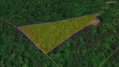 0 Buttonwood Rd unit 25554474, Connelly Springs, NC 28612 - photo 2