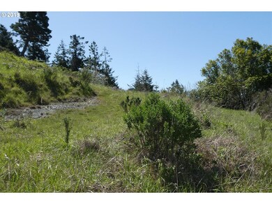 29685 Bear Mountain Rd unit 700, Gold Beach, OR 97444 - photo 3