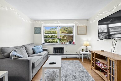 10 Commonwealth Ct unit 8, Brighton, MA 02135 - photo 2