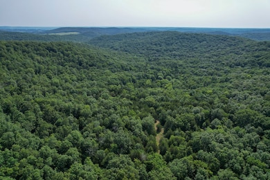 0 Coffman Rd unit Lot WP002 20945157, Farmington, MO 63640 - photo 5