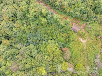 7130 Max Patch Rd, Hot Springs, NC 28743 - photo 3