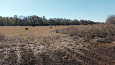 000 Pruitt Dr, Judsonia, AR 72081 - photo 6